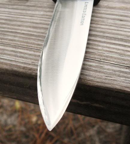 [Linked Image from i173.photobucket.com]