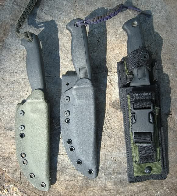 [Linked Image from i173.photobucket.com]