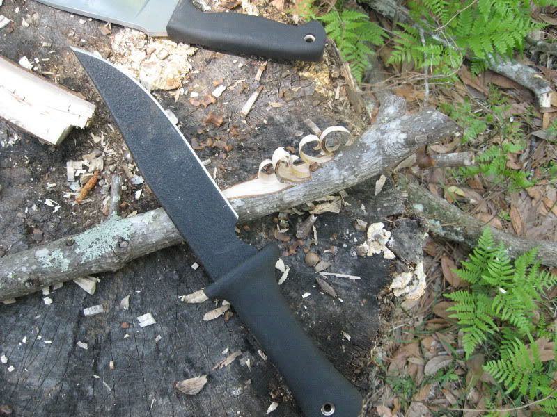 [Linked Image from i173.photobucket.com]