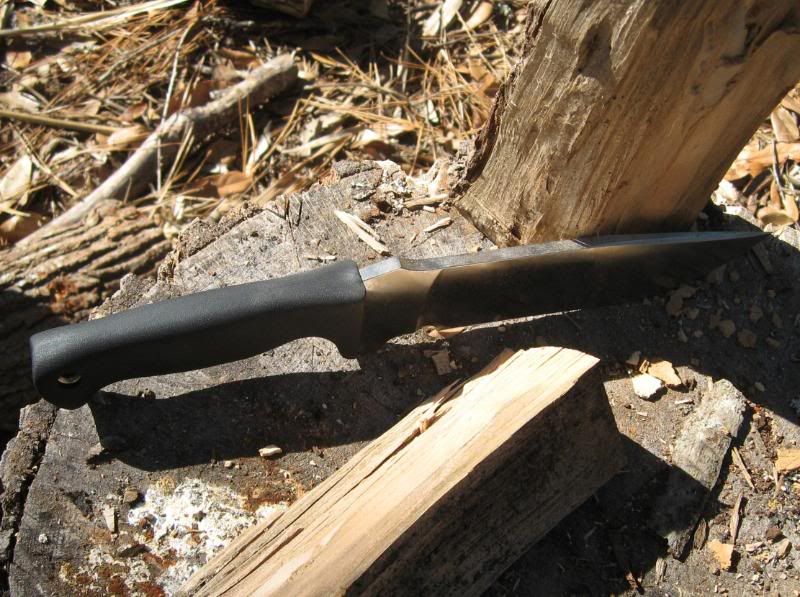 [Linked Image from i173.photobucket.com]
