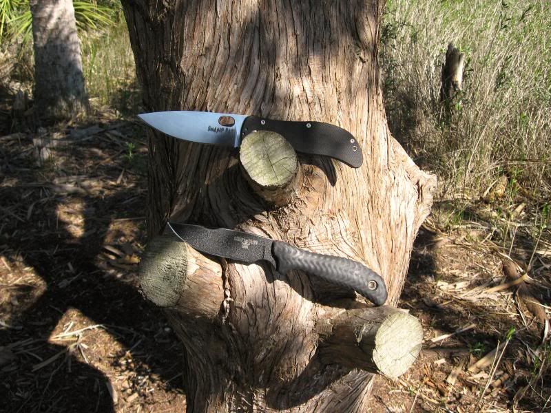 [Linked Image from i173.photobucket.com]