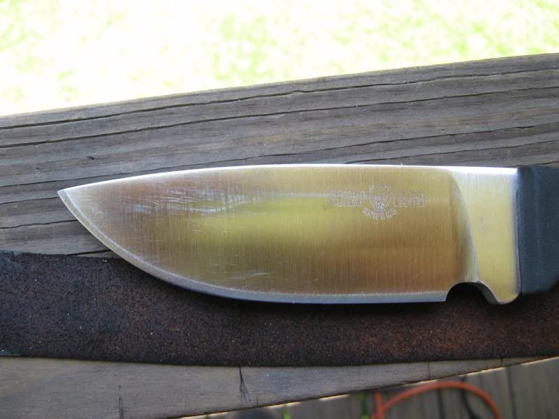 [Linked Image from i173.photobucket.com]