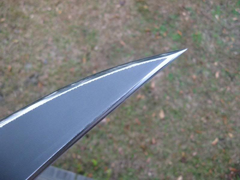 [Linked Image from i173.photobucket.com]