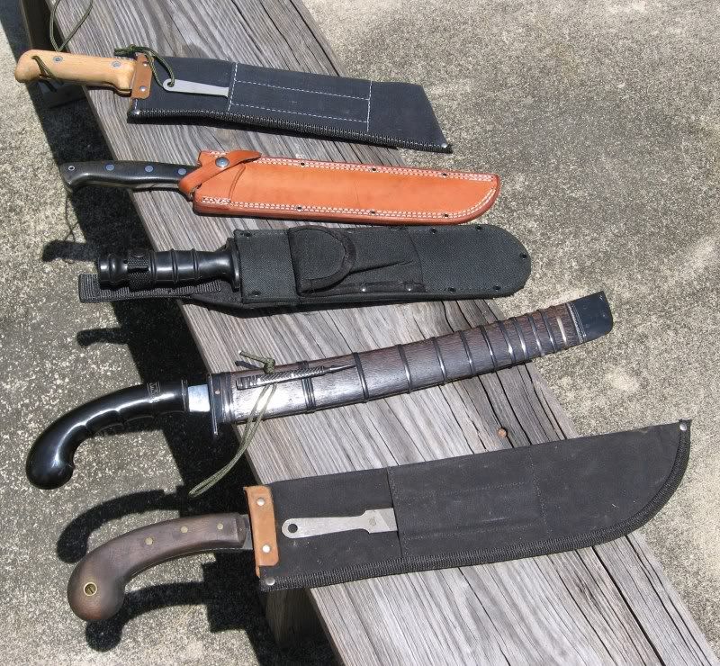 [Linked Image from i173.photobucket.com]