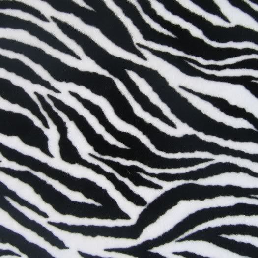 zebra print. Animal Print Zebra Image