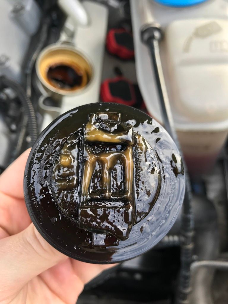 blown head gasket oil