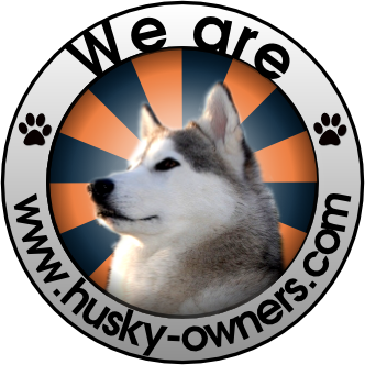 husky-badge3.png