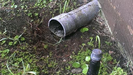 Rainwater drains into backyard