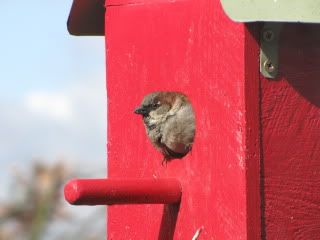 IMG_4371.jpg
