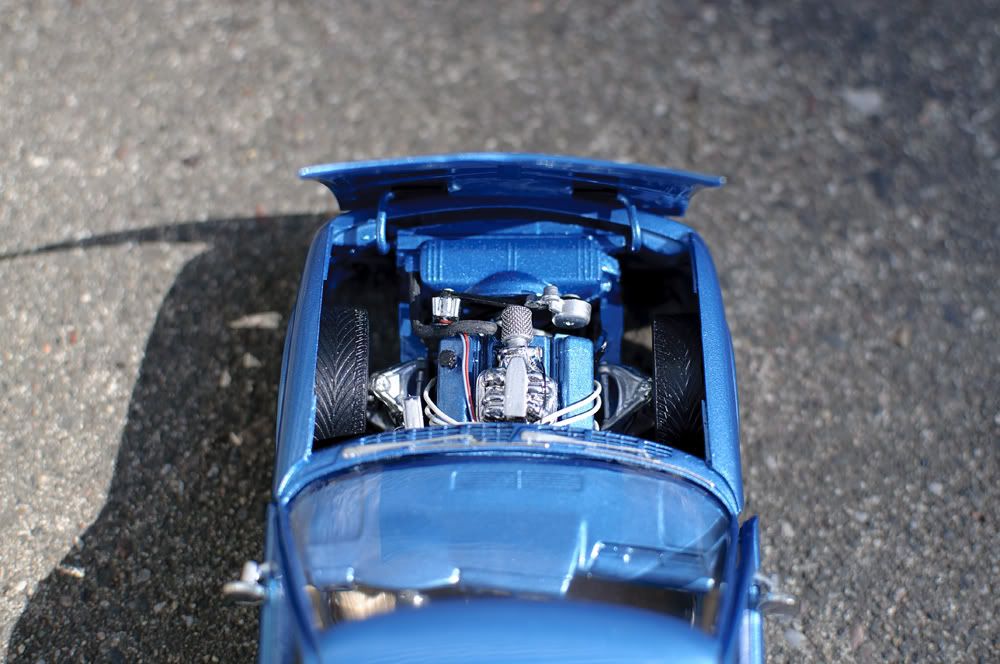 DSC 8245