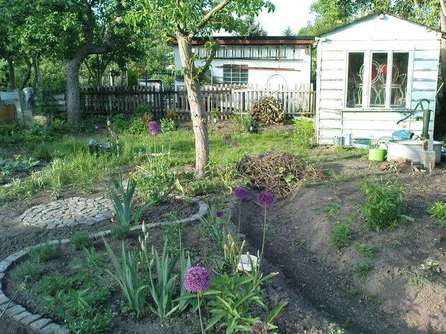 Gartenneuling - brauche Rat zu Aussaat, pflegeleichten Stauden und viel