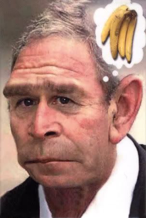 george w bush monkey. 8130George-W-Bush-Monkey-