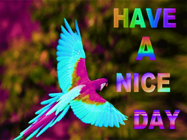 Have a nice day photo AnimationProject304.gif