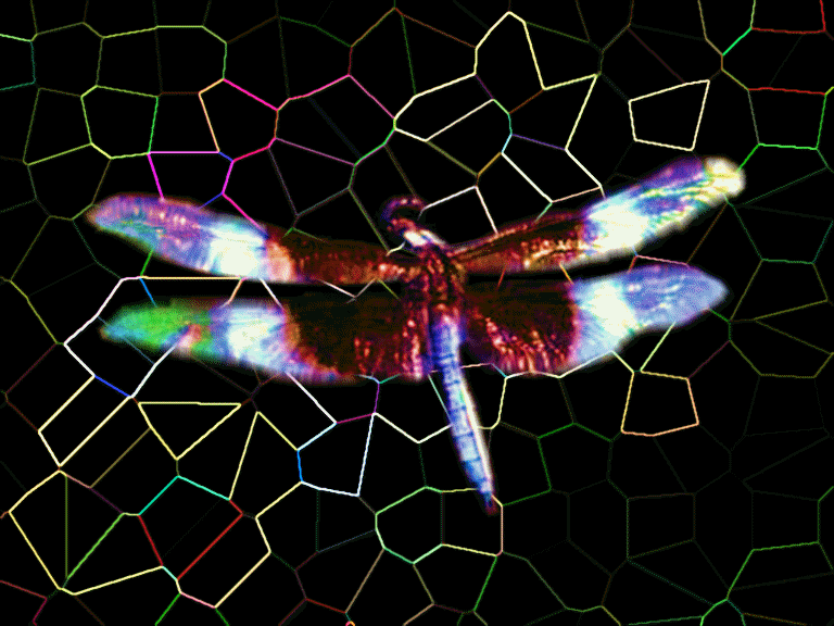 AnimationProject11.gif Dragonfly image by POPSmaroon