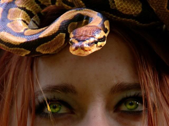 SNake And Girl Pictures, Images and Photos