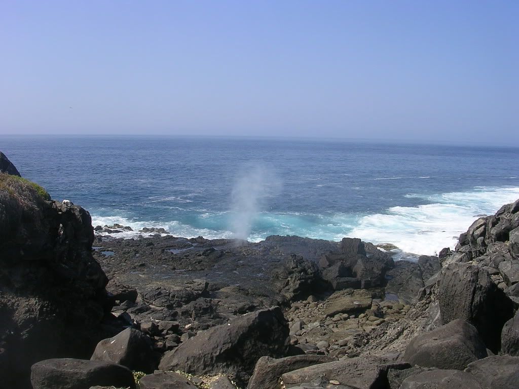[Image: Galapagos07494.jpg]