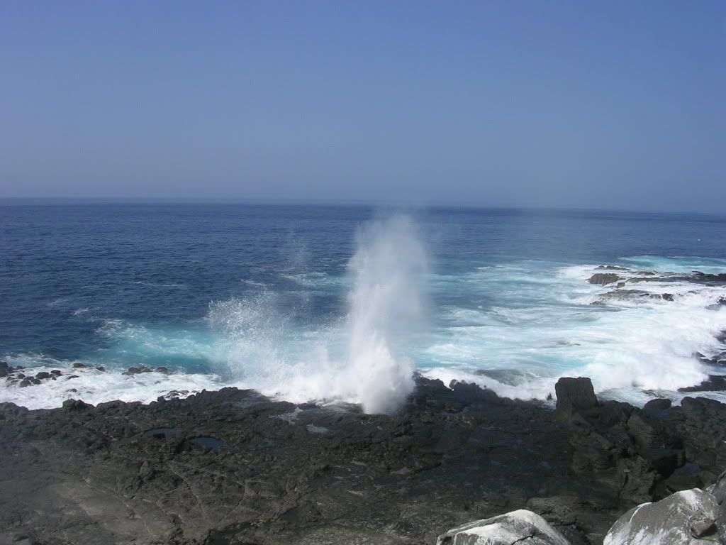 [Image: Galapagos07507-1.jpg]