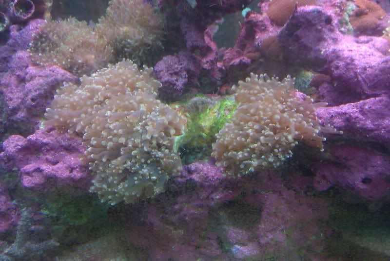 3f63ea74.jpg