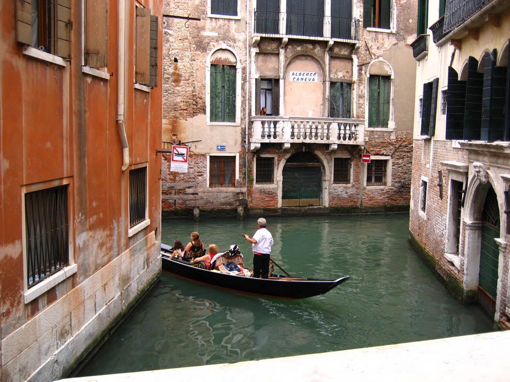 IMG_8536.jpg