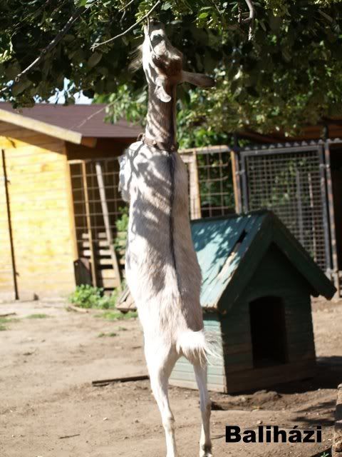 PE090054.jpg