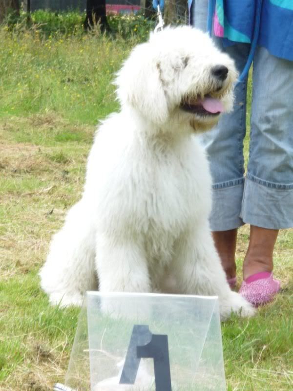 frankryk20090642.jpg