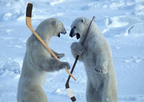 Polar20Bears20Hockey.jpg