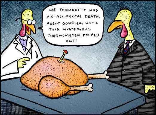 cartoon turkey Pictures, Images and Photos