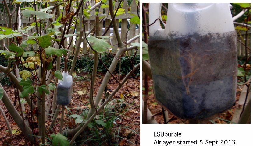 [airlayerfig_zps0288b703]