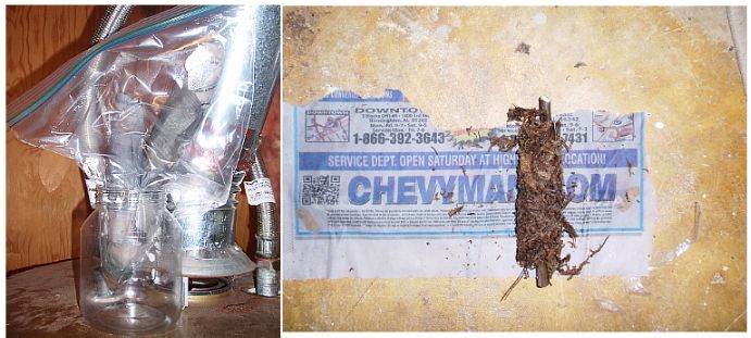 [figroll_zpsfa0a9be8]