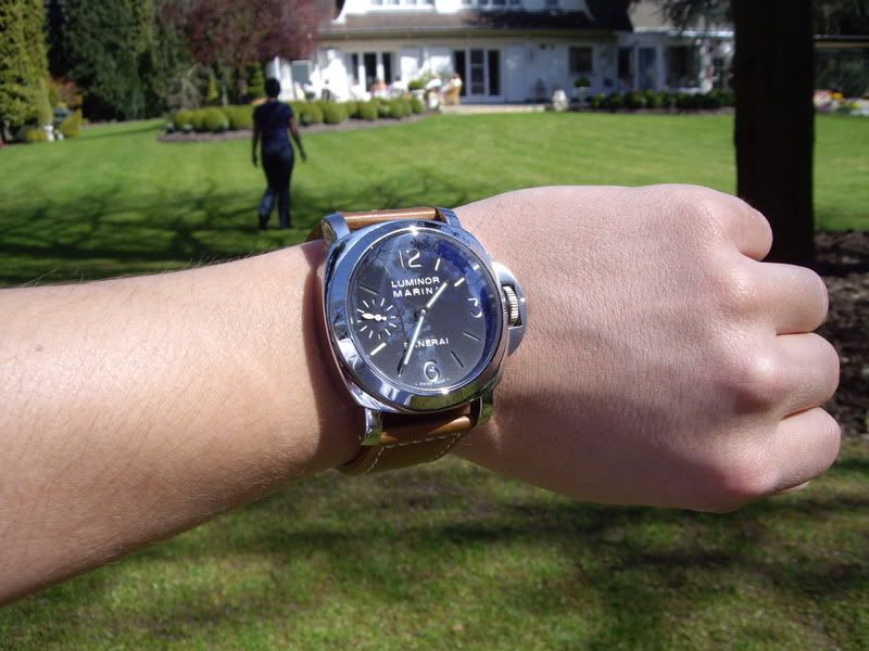 PAM1115.jpg