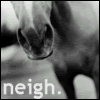 Neigh