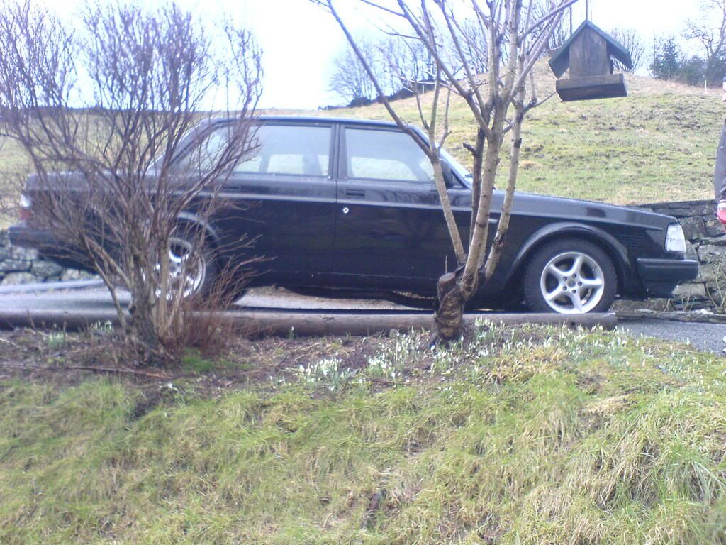 DSC00097.jpg?t=1171991528