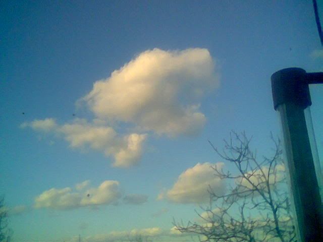 Zdjcie012.jpg?t=1175974900