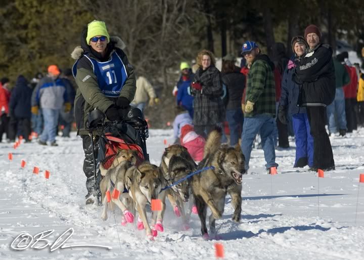 2010 Mid MInnesota 150 Sled Dog Race