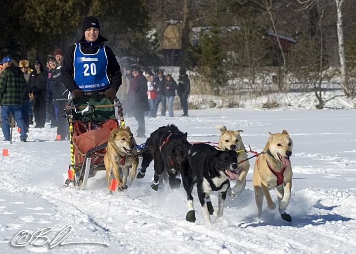 2010 Mid MInnesota 150 Sled Dog Race