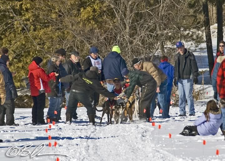 2010 Mid MInnesota 150 Sled Dog Race