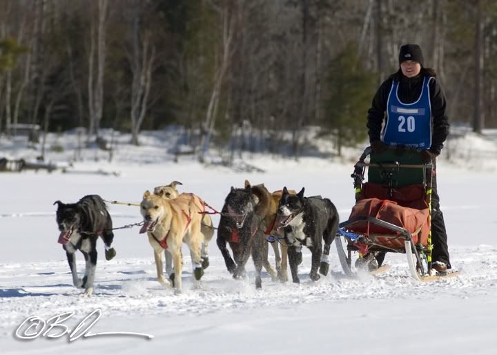 Minnesota 150 Sled Dog Race