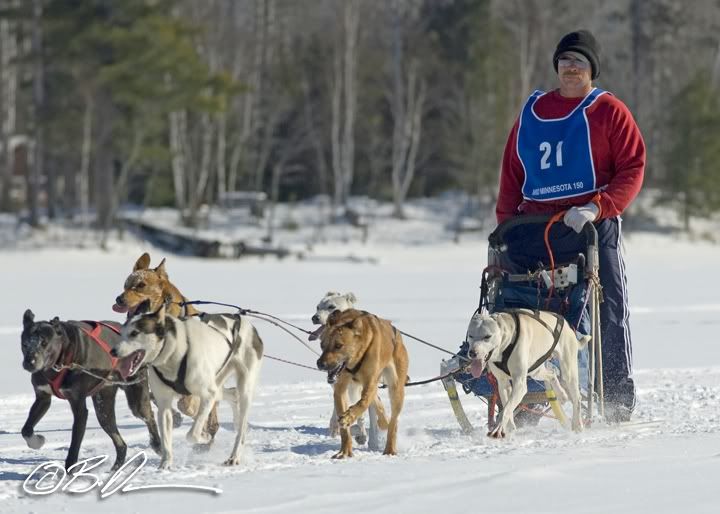 2010 Mid Minnesota 150 Sled Dog Race