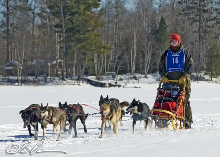 2010 Mid MInnesota 150 Sled Dog Race