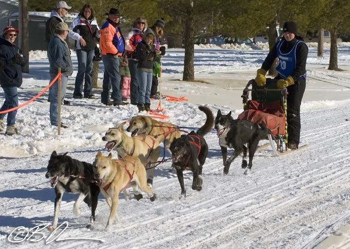 Minnesota 150 Sled Dog Race