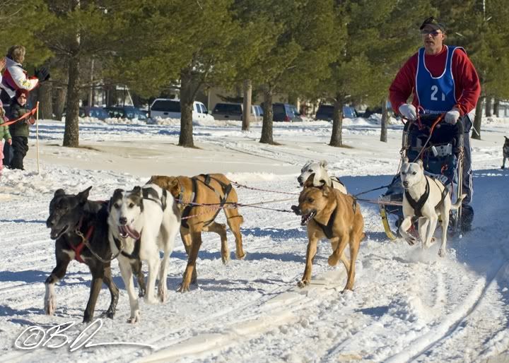 2010 Mid Minnesota 150 Sled Dog Race