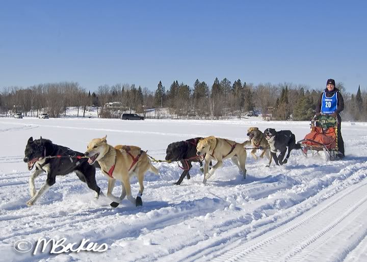 2010 Mid Minnesota 150 Sled Dog Race