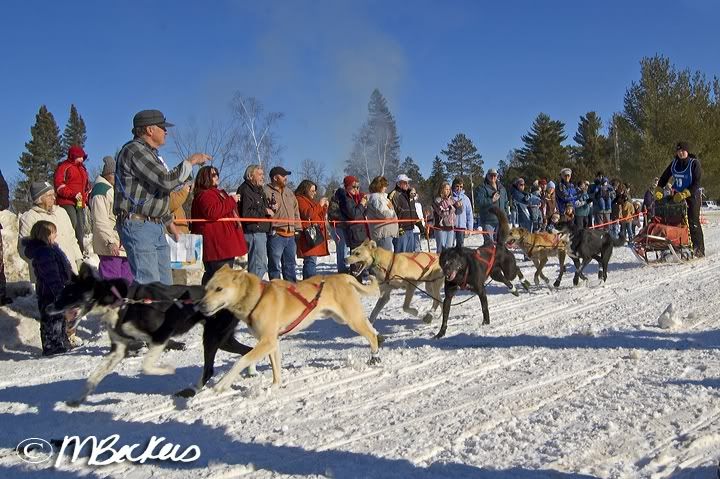 2010 Mid MInnesota 150 Sled Dog Race