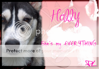 HollysigforPL.png picture by huskyluva16