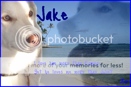 JakeysigforIWN.png picture by huskyluva16