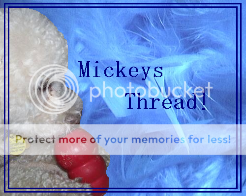 MickeysThread.png picture by huskyluva16