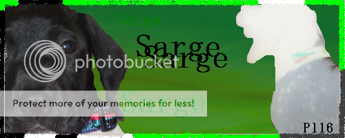 Sargesig1betterfisnsh.png picture by huskyluva16