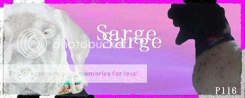 Sargesig2.png picture by huskyluva16