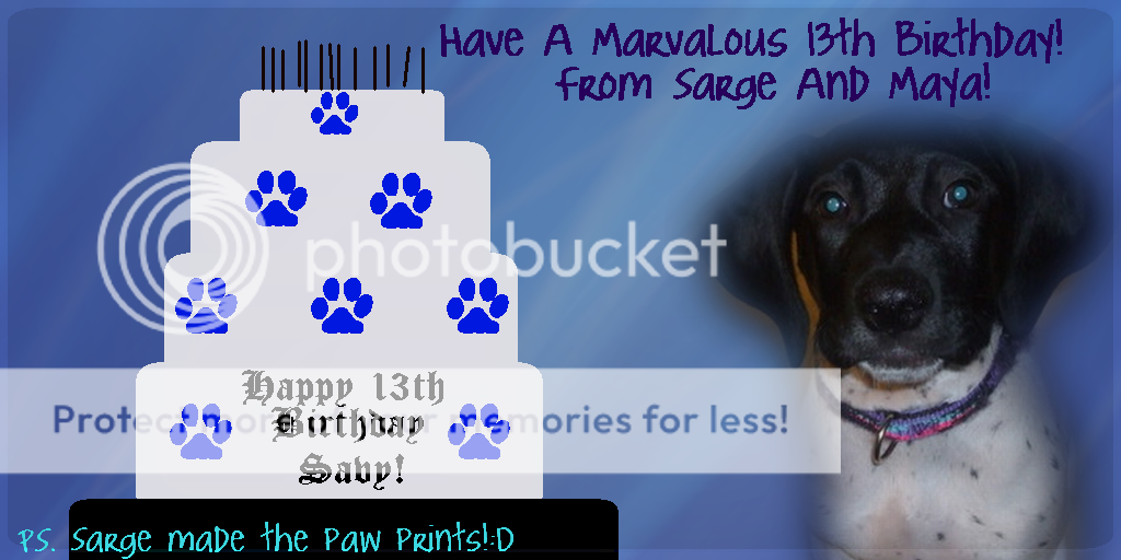 abirthdaycakeforsavy2.png picture by huskyluva16