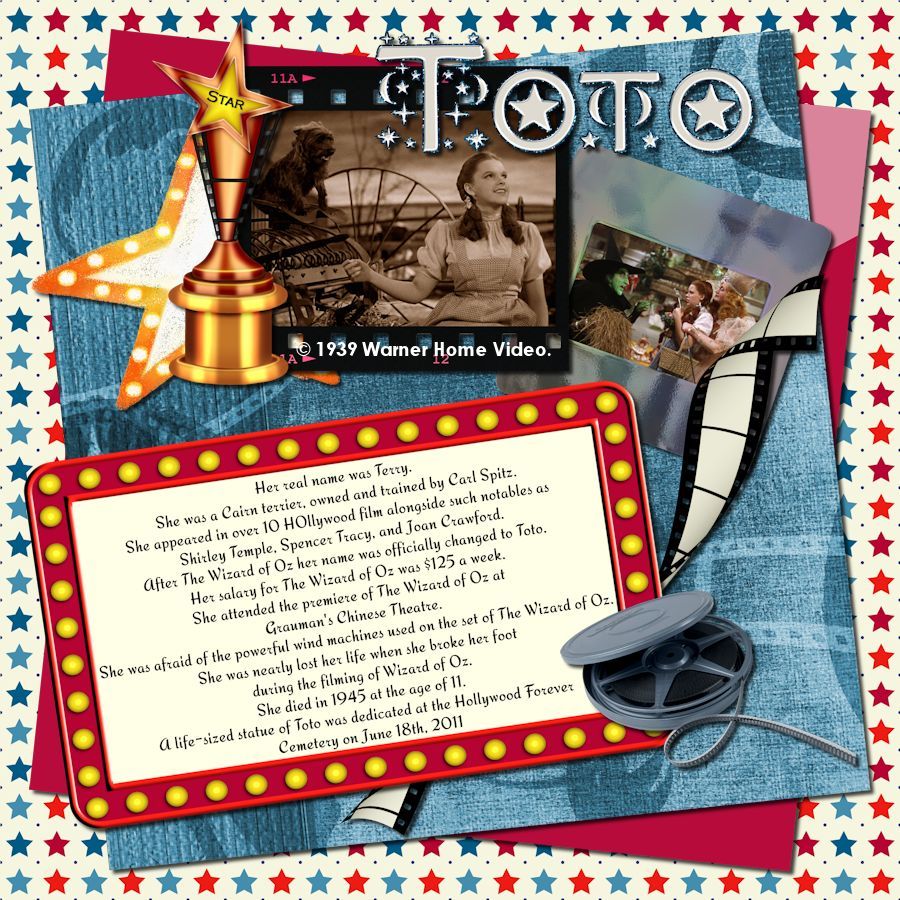 Ten Facts About Toto